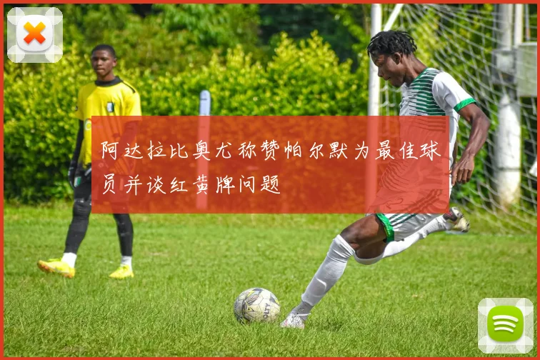阿达拉比奥尤称赞帕尔默为最佳球员并谈红黄牌问题