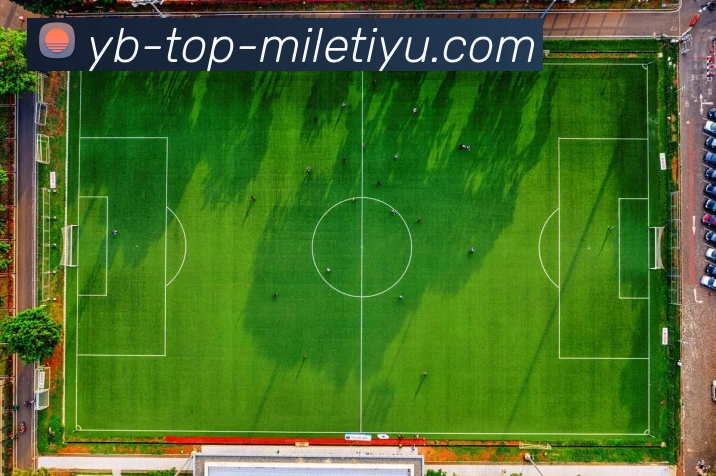 多媒体互动体验