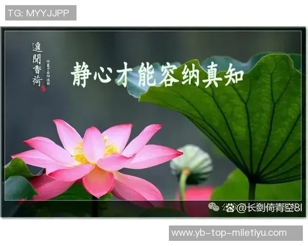 太阳赛季前瞻：期待不如放下包袱或许能迎来意外惊喜